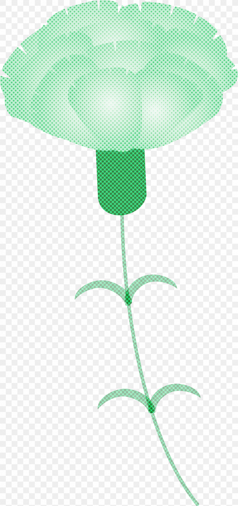 Mothers Day Carnation Mothers Day Flower, PNG, 1410x3000px, Mothers Day Carnation, Green, Mothers Day Flower, Plant Download Free