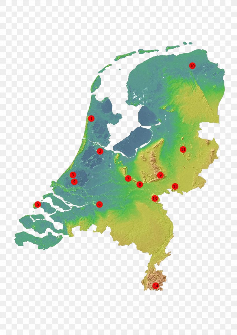 Netherlands Vector Graphics World Map Royalty-free, PNG, 2880x4074px, Netherlands, Green, Map, Mapa Polityczna, Organism Download Free