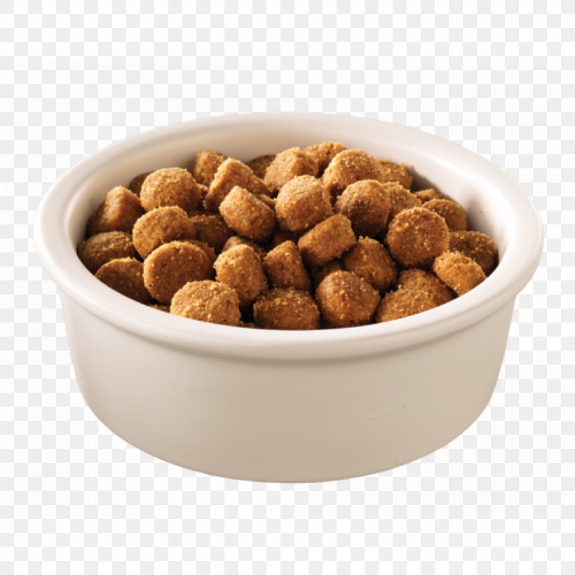Dog Food Puppy Cat Food Science Diet, PNG, 1200x1200px, Dog, Cat Food, Dog Biscuit, Dog Breed, Dog Food Download Free