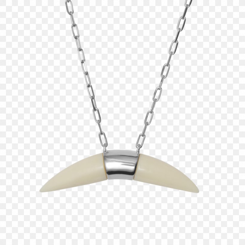 Locket Necklace Silver, PNG, 1024x1024px, Locket, Fashion Accessory, Jewellery, Metal, Necklace Download Free