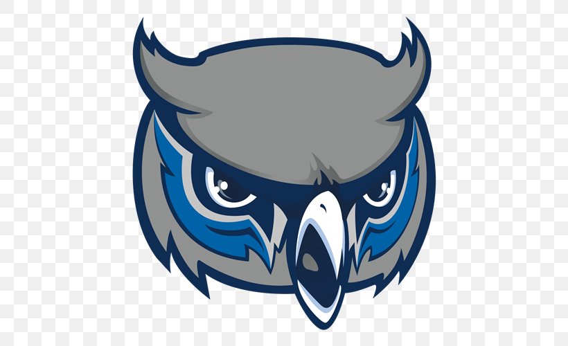Olathe West High School Kennesaw State Owls Football College Boulevard Activity Center, PNG, 500x500px, Owl, Automotive Design, Coach, Fictional Character, Fish Download Free
