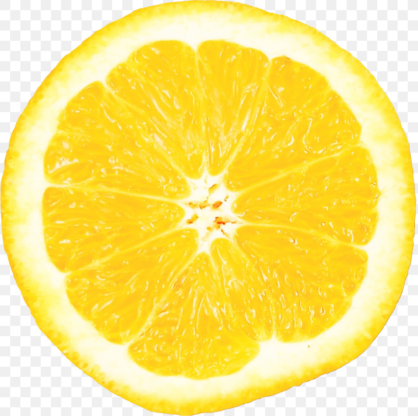 Orange, PNG, 1640x1634px, Watercolor, Citrus, Drawing, Fruit, Lemon Download Free