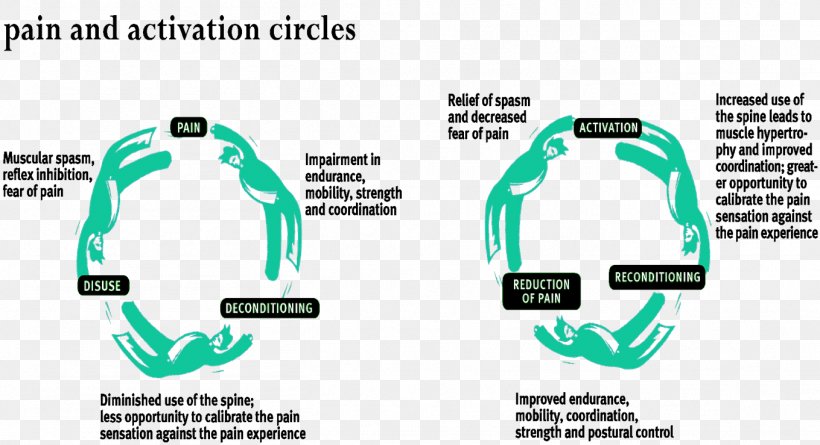 Back Pain Chronic Pain Fibromyalgia Deconditioning Pain Management, PNG, 1359x739px, Back Pain, Ache, Area, Balance, Brand Download Free