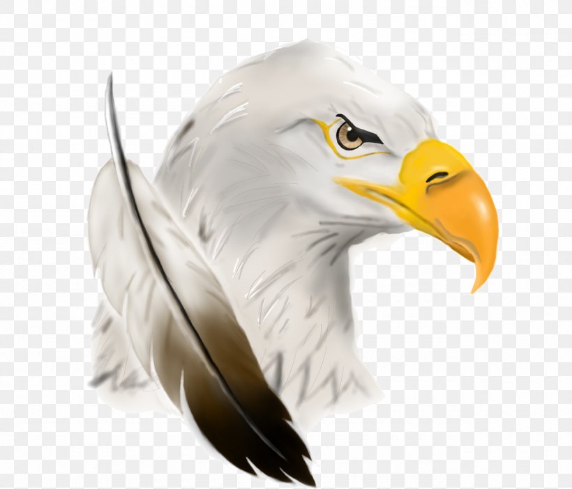 Bald Eagle United States Of America Image, PNG, 1280x1096px, Bald Eagle, Accipitriformes, Americas, Animal, Beak Download Free
