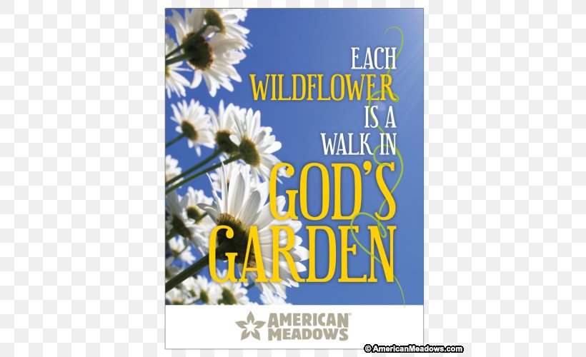 Floral Design Seed Company Flower Butterfly Gardening, PNG, 500x500px, Floral Design, Advertising, Butterfly Gardening, Coneflower, Cut Flowers Download Free