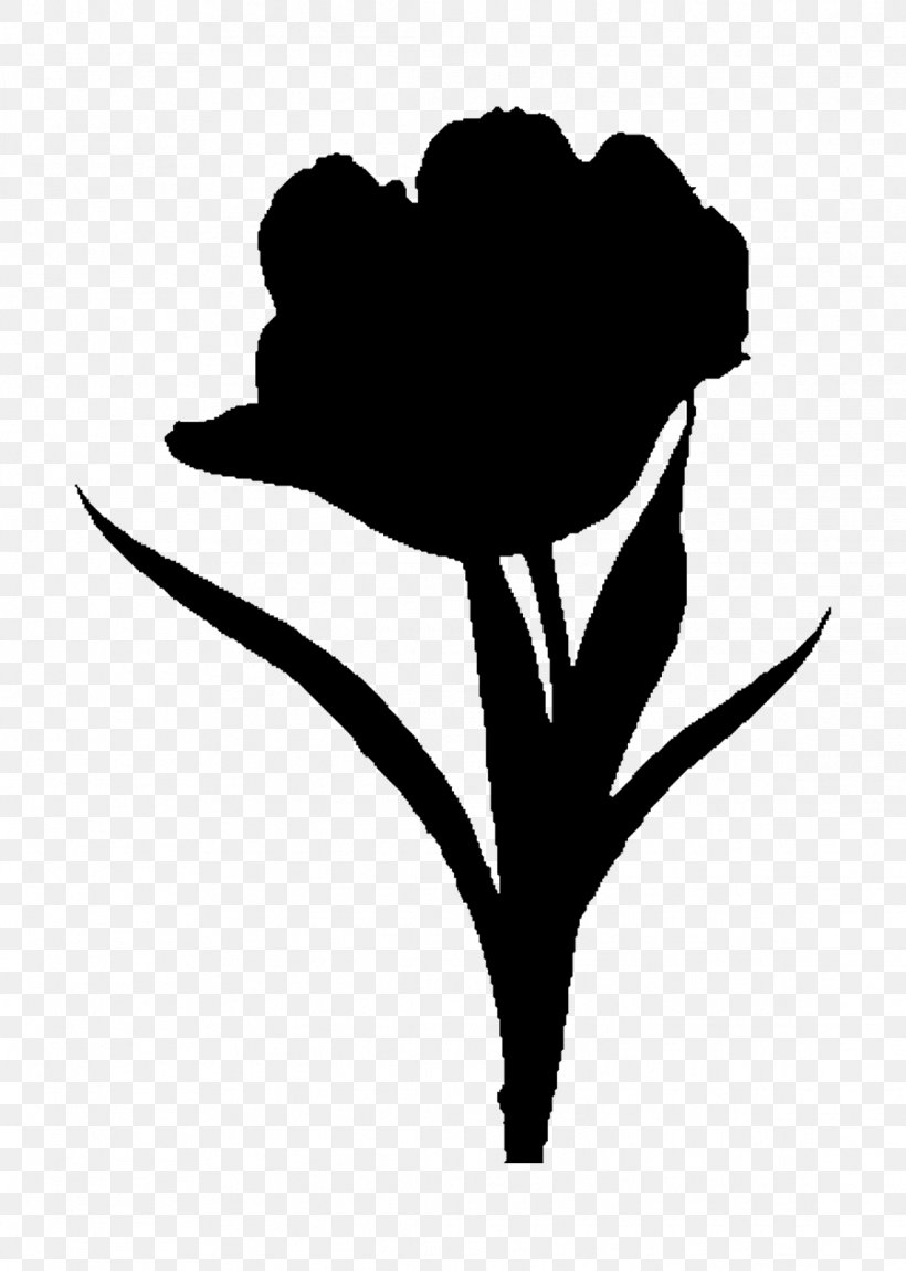 Rose Family Clip Art Black & White, PNG, 1139x1600px, Rose Family, Black White M, Blackandwhite, Botany, Flower Download Free