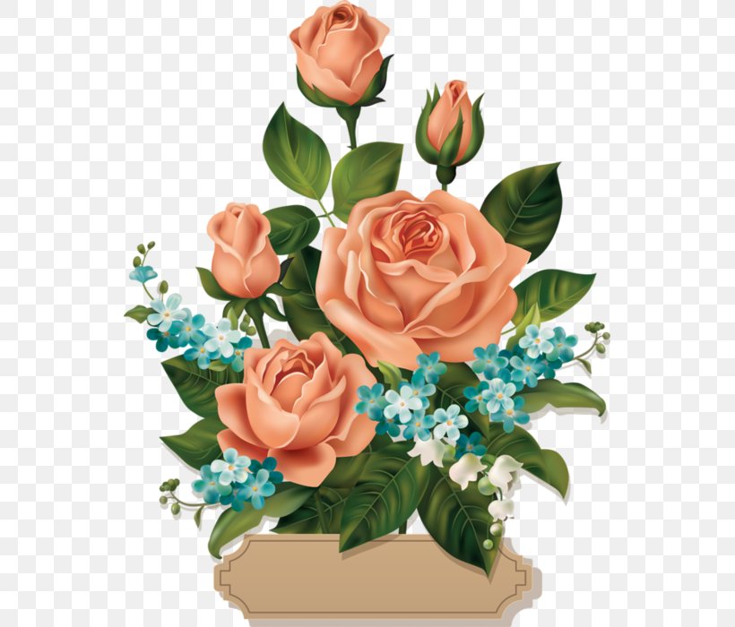 Rose Flower Clip Art, PNG, 543x700px, Rose, Artificial Flower, Cut Flowers, Floral Design, Floristry Download Free