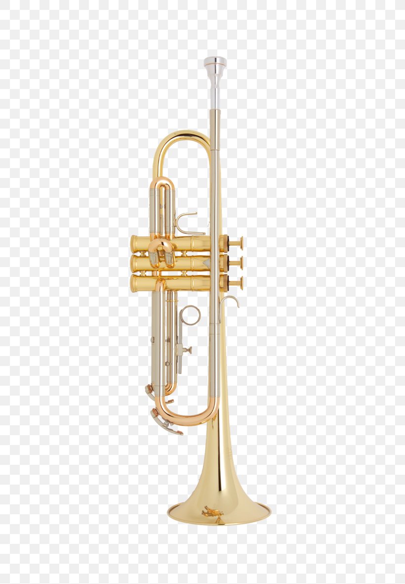 Saxhorn Trumpet Cornet Flugelhorn Wind Instrument, PNG, 591x1181px, Watercolor, Cartoon, Flower, Frame, Heart Download Free