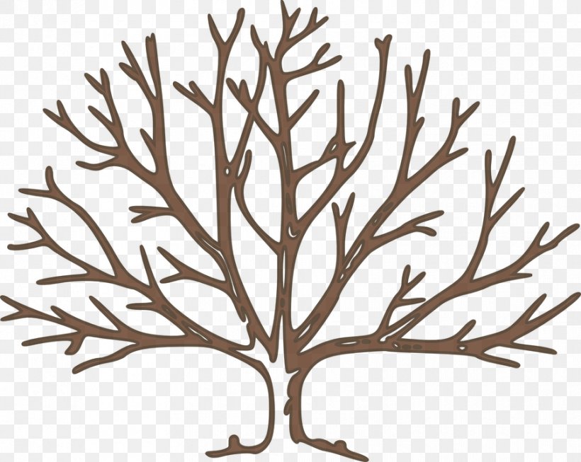 Tree Free Content Clip Art, PNG, 904x720px, Tree, Art, Black And White, Blog, Branch Download Free