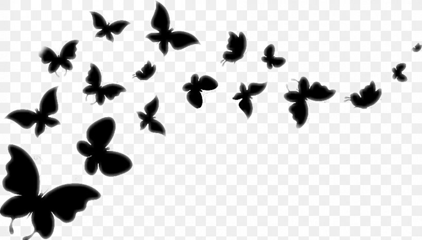 Butterfly Vector Graphics Clip Art Image, PNG, 898x512px, Butterfly, Black And White, Branch, Drawing, Flower Download Free