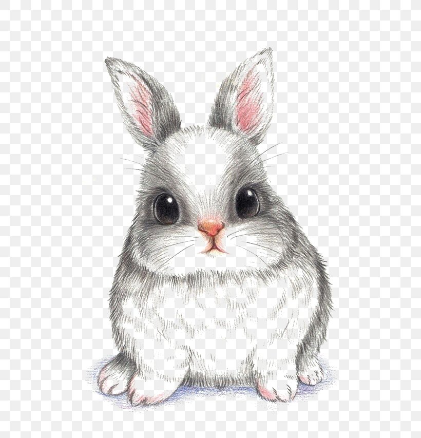 European Rabbit Drawing Wallpaper, PNG, 500x853px, European Rabbit, Computer Monitor, Domestic Rabbit, Drawing, Easter Bunny Download Free
