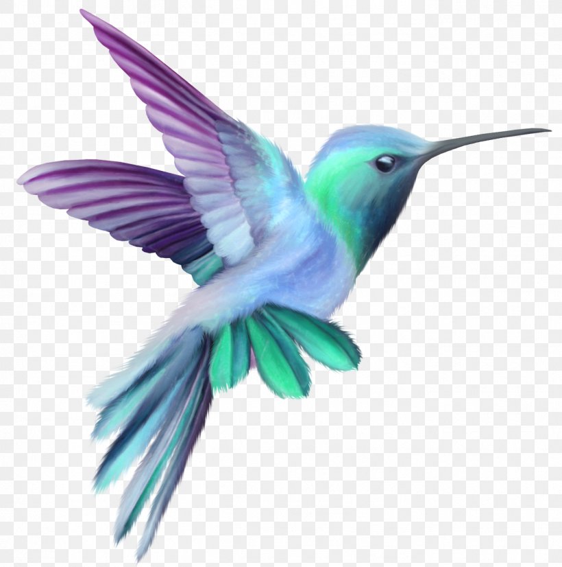 Hummingbird Clip Art, PNG, 1363x1373px, Hummingbird, Beak, Bird, Drawing, Fauna Download Free