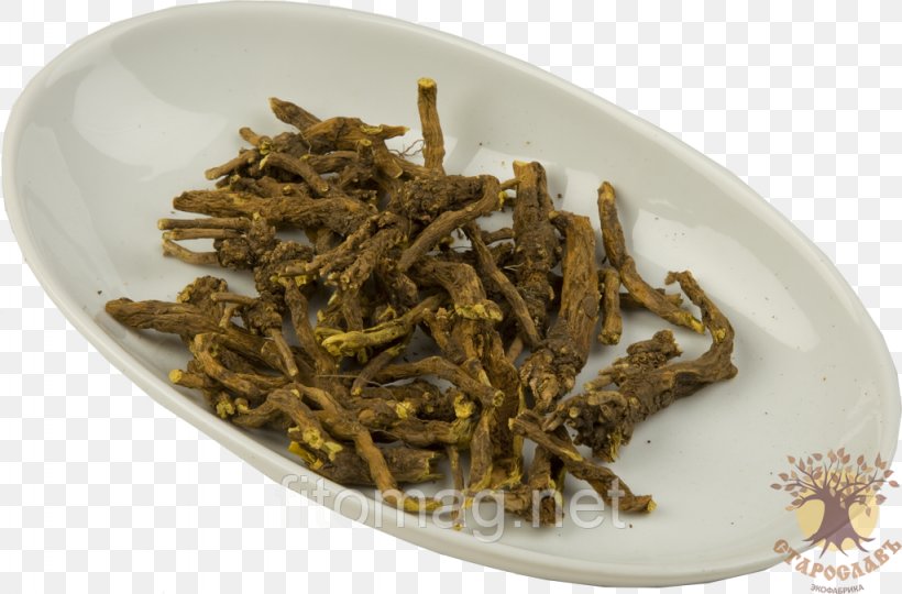 Scutellaria Baicalensis Root Bergenia Crassifolia Angelica Archangelica Price, PNG, 1024x675px, Scutellaria Baicalensis, Angelica Archangelica, Animal Source Foods, Artikel, Bai Mudan Download Free