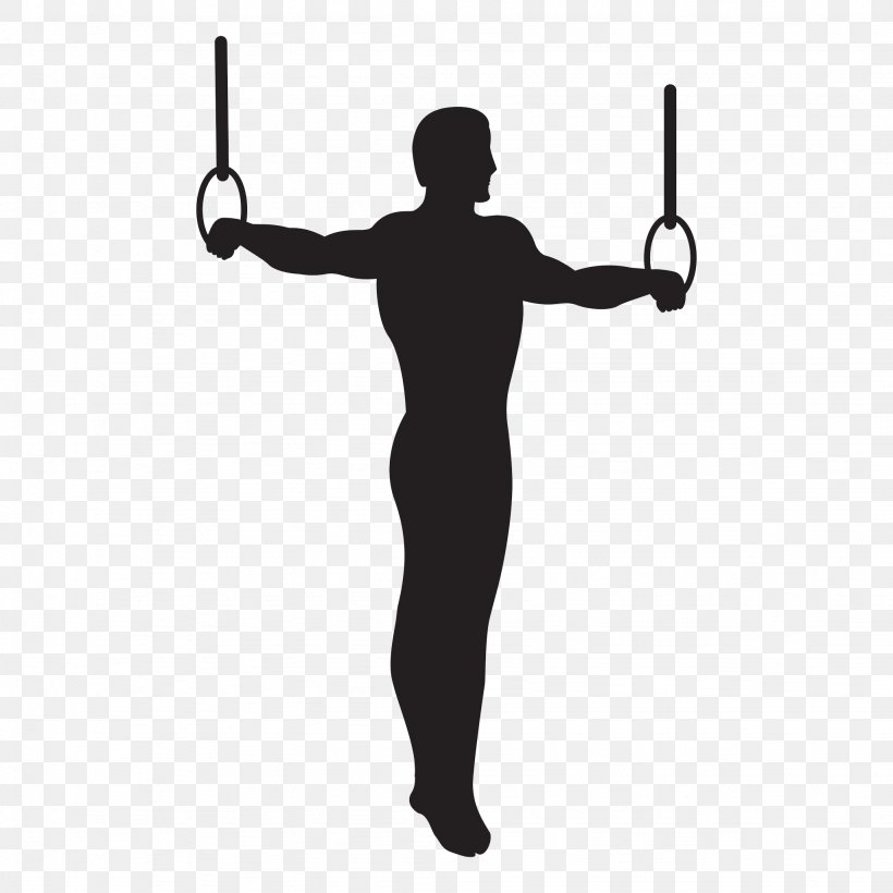 Standing Arm Physical Fitness Silhouette Balance, PNG, 2048x2048px, Standing, Arm, Balance, Physical Fitness, Silhouette Download Free