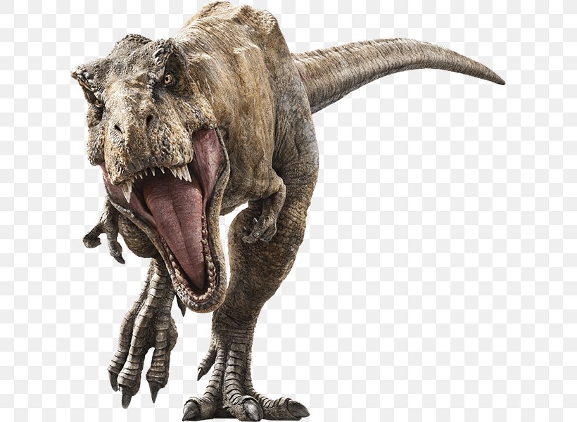 Tyrannosaurus Velociraptor Universal Pictures Jurassic Park Baryonyx, PNG, 619x600px, Tyrannosaurus, Baryonyx, Dinosaur, Extinction, Indominus Rex Download Free