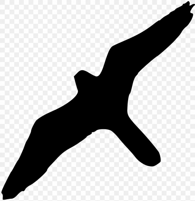 Bird Of Prey Peale's Falcon Wikipedia, PNG, 995x1024px, Bird, Beak, Bird Of Prey, Black, Black And White Download Free