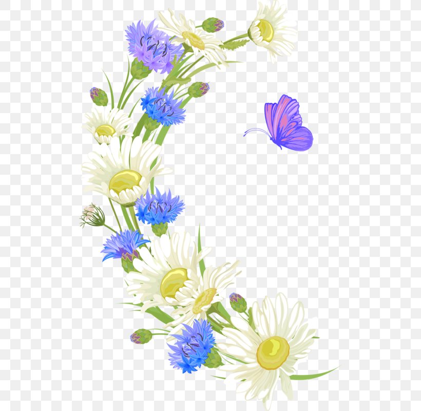 Cut Flowers Floral Design Flower Bouquet Oxeye Daisy, PNG, 512x800px, Cut Flowers, Art, Aster, Blume, Chrysanthemum Download Free