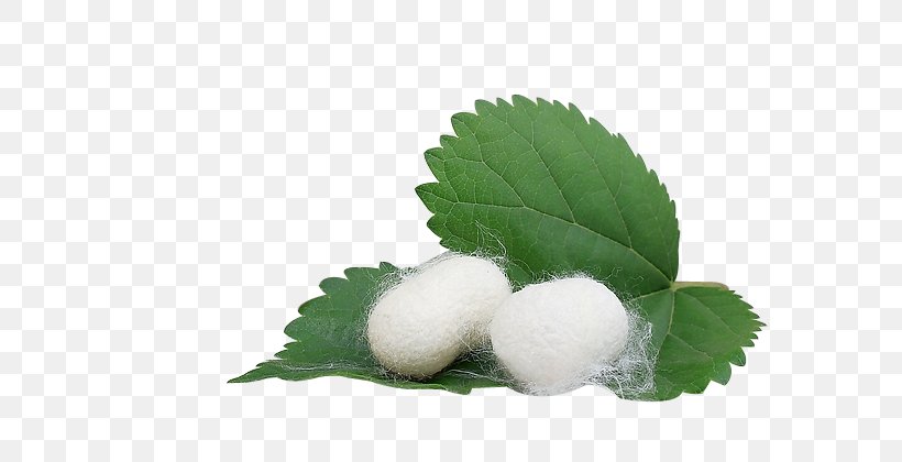 Lotion Silkworm Facial Cream, PNG, 600x420px, Lotion, Cream, Face, Facial, Grass Download Free