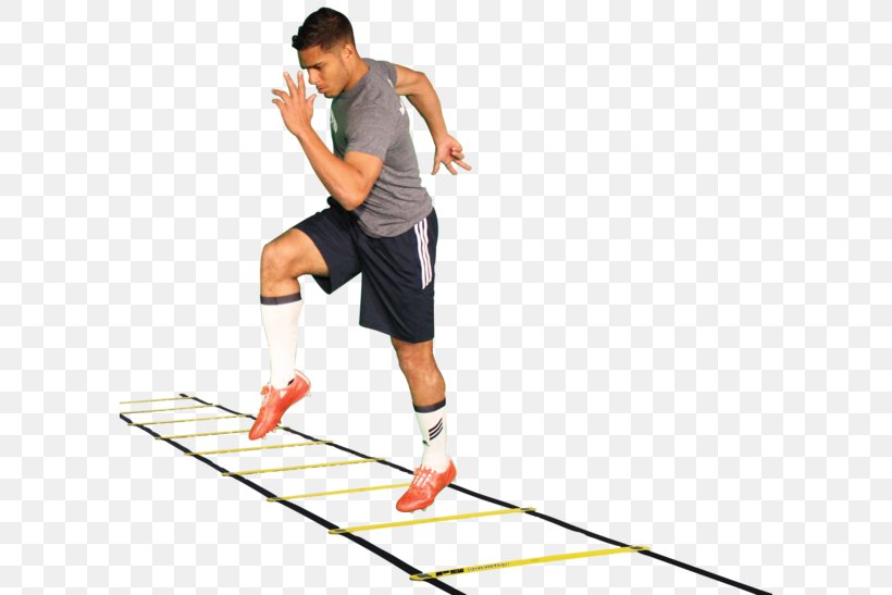 Agility Exercise Ladder Sport Skill, PNG, 600x547px, Agility, Arm, Balance, Boxing, Coaching Download Free