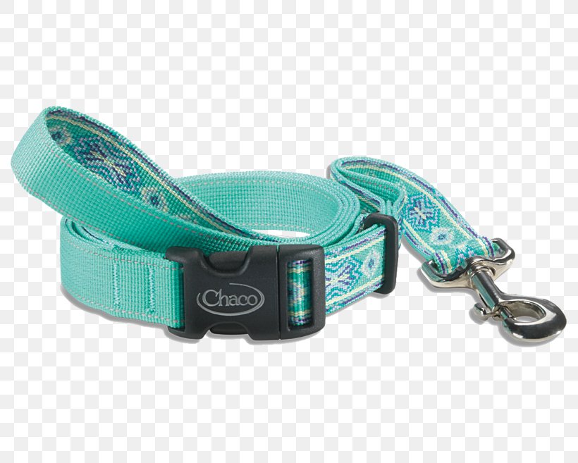 Leash Dog Collar Paloma, PNG, 790x657px, Leash, Chaco, Collar, Dog, Dog Collar Download Free