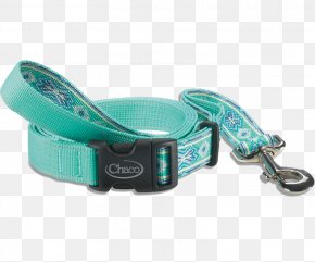 Dog Collars - Leash Dog Collar Paloma PNG