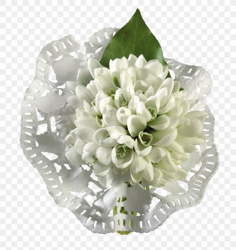 Snowdrop Clip Art Photography Flower, PNG, 2500x2655px, Snowdrop, Artificial Flower, Cut Flowers, Digital Image, Floral Design Download Free