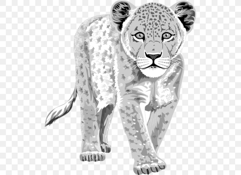 The Snow Leopard Tiger Clip Art, PNG, 516x596px, Leopard, Animal Figure, Big Cats, Black And White, Carnivoran Download Free