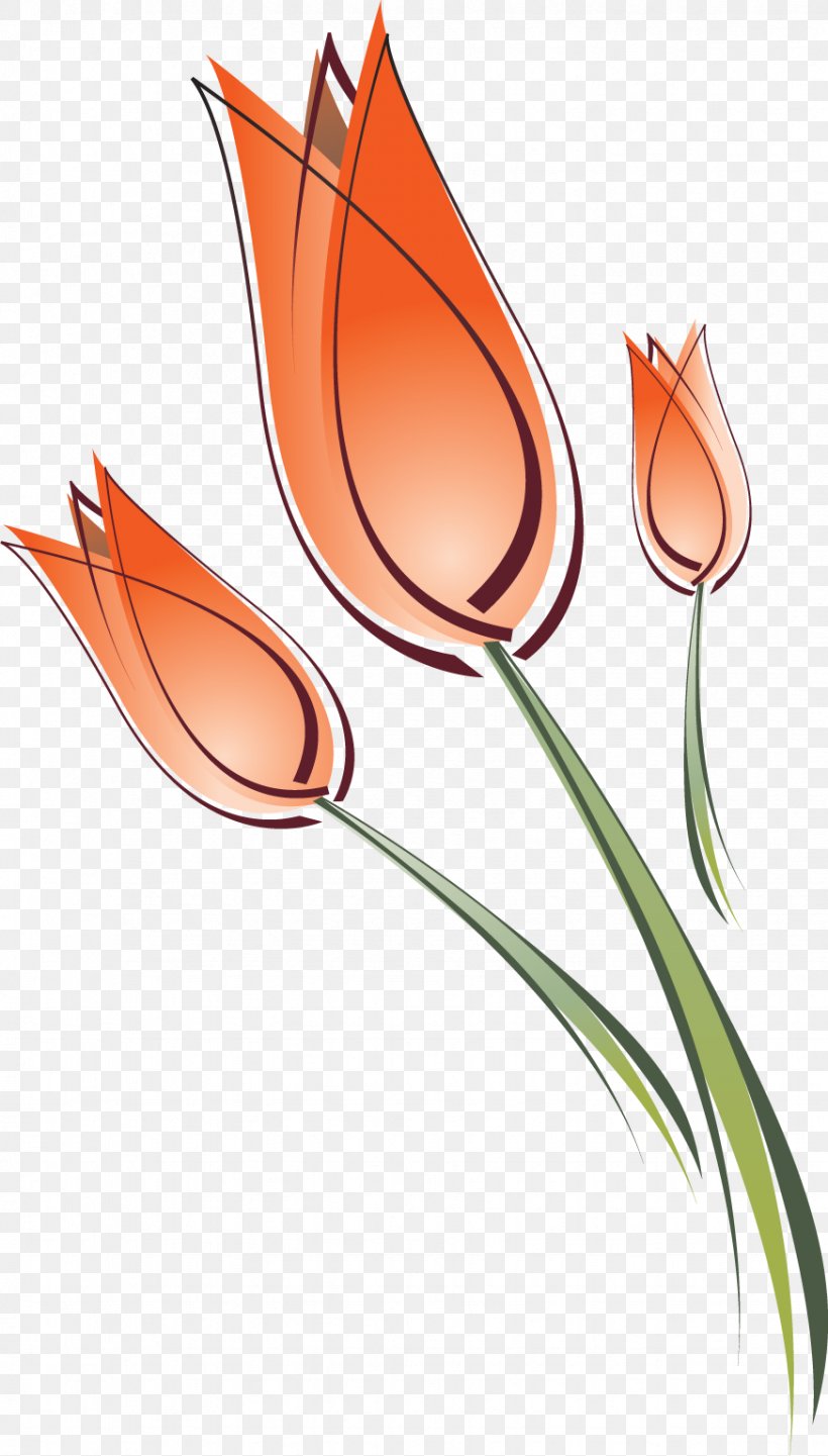 Tulip Clip Art Drawing Flower, PNG, 873x1535px, Tulip, Drawing, Flora, Flower, Flowering Plant Download Free