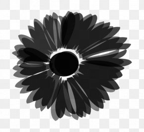 Wheel PNG