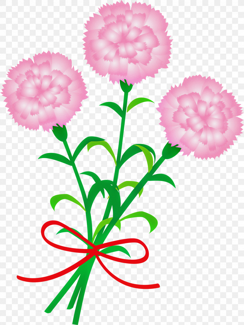 Mothers Day Carnation Mothers Day Flower, PNG, 2256x3000px, Mothers Day Carnation, Carnation, Cut Flowers, Flower, Mothers Day Flower Download Free