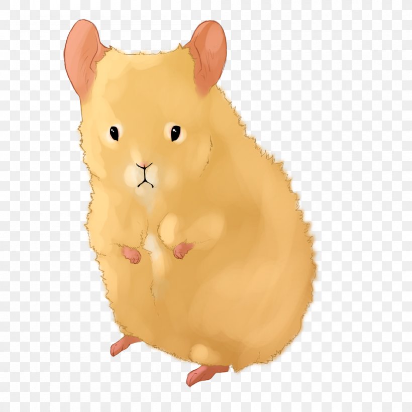 Rodent Hamster Mouse Murids Rat, PNG, 1000x1000px, Rodent, Animal, Carnivora, Carnivoran, Hamster Download Free