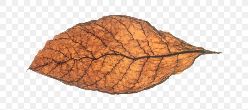 Tobacco Pipe Burley Cigar Curing Of Tobacco, PNG, 728x364px, Tobacco Pipe, Burley, Chewing Tobacco, Cigar, Cigarette Download Free