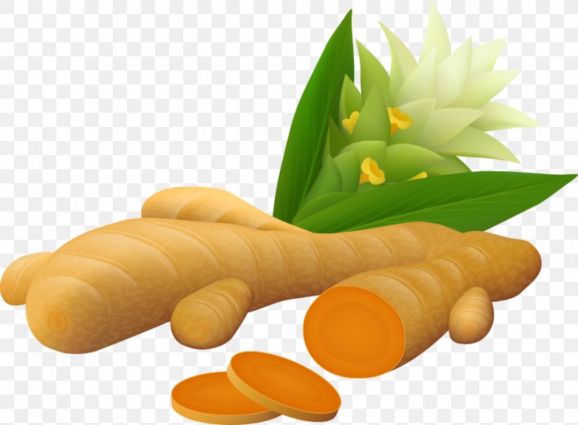 Turmeric Ginger Curcumin Illustration, PNG, 965x710px, Turmeric, Auglis, Baby Carrot, Carrot, Cartoon Download Free