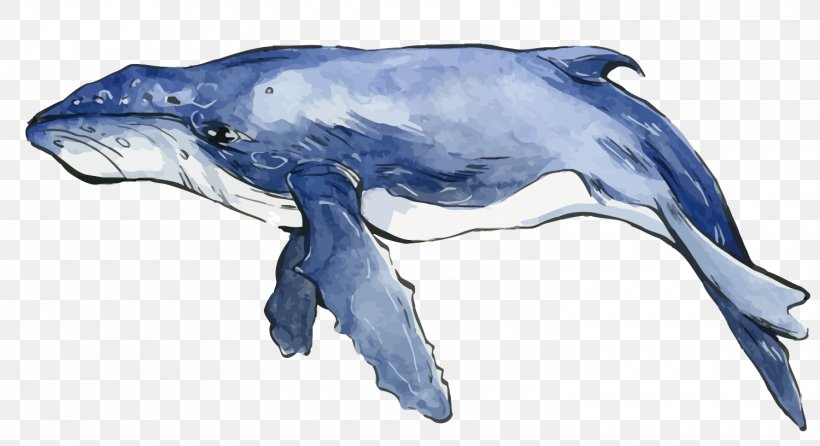 Dolphin Watercolor Painting Whale, PNG, 1500x816px, Dolphin, Blue, Blue Whale, Cetacea, Color Download Free