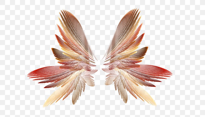 Download Clip Art, PNG, 612x468px, Wing, Angel Wing, Feather, Moths And Butterflies, Photography Download Free