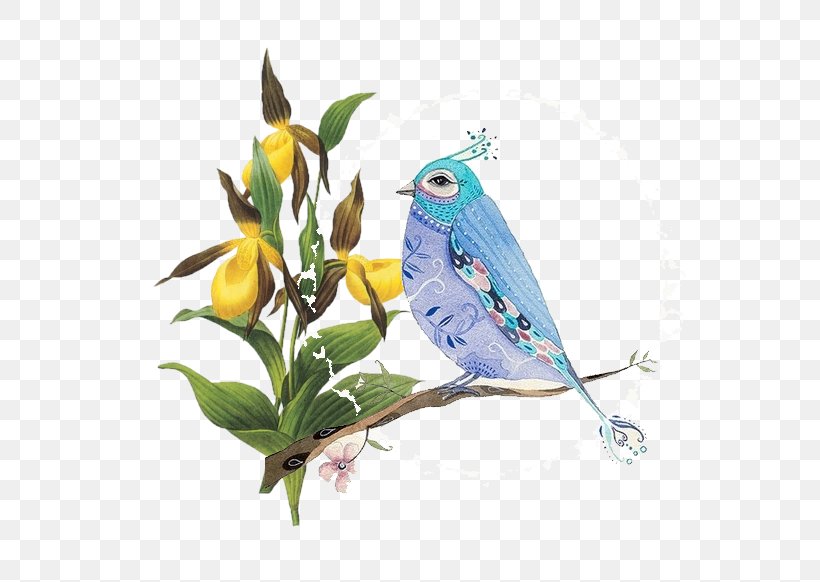 Flower Euclidean Vector, PNG, 608x582px, Flower, Beak, Bird, Branch, Common Pet Parakeet Download Free