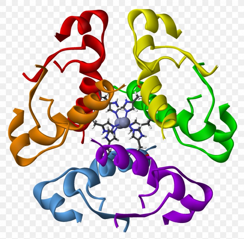 Regular Insulin Hexamer Protein Pharmaceutical Drug, PNG, 1065x1043px, Insulin, Alpha Helix, Animal Figure, Artwork, Biology Download Free