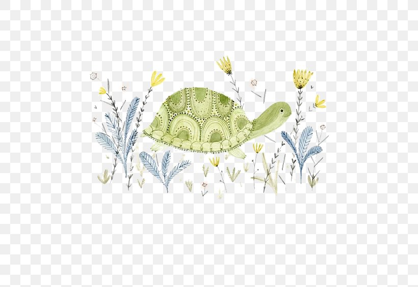 The Little Green Turtle Illustration, PNG, 564x564px, Turtle, Border, Cartoon, Floral Design, Green Download Free