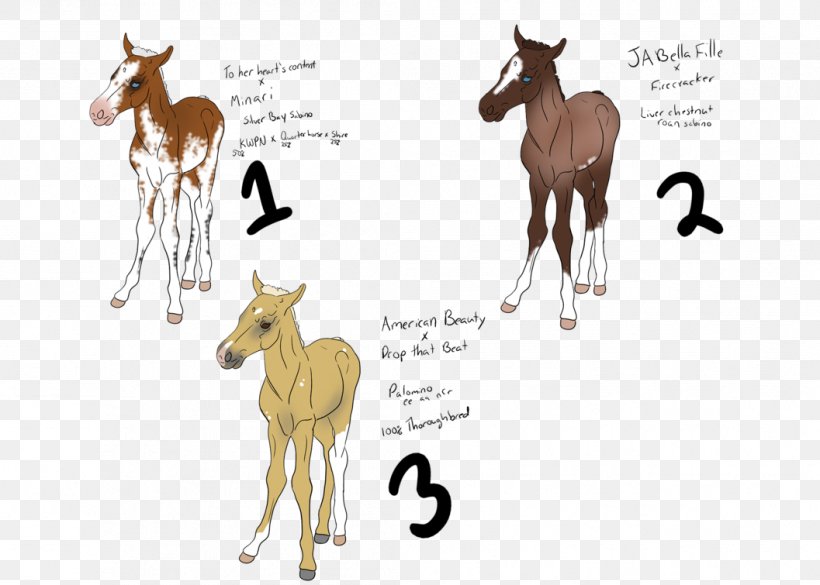 Foal Mustang Colt Donkey Deer, PNG, 1057x755px, Foal, Animal, Animal Figure, Antelope, Cartoon Download Free