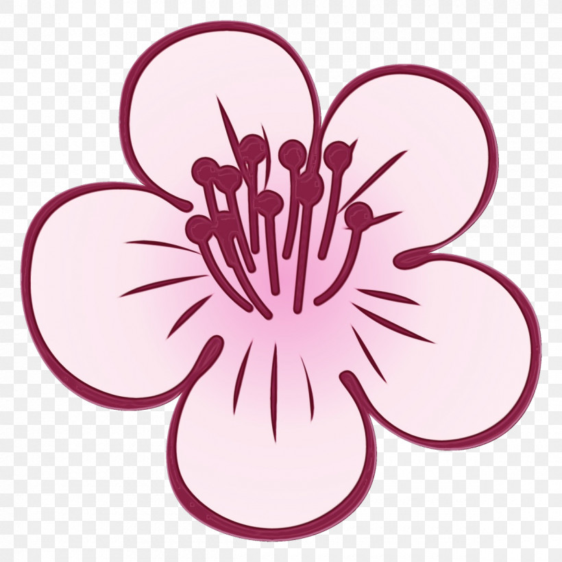 Pink Flower Plant Petal Magenta, PNG, 1200x1200px, Plum Blossoms, Flower, Magenta, Paint, Petal Download Free