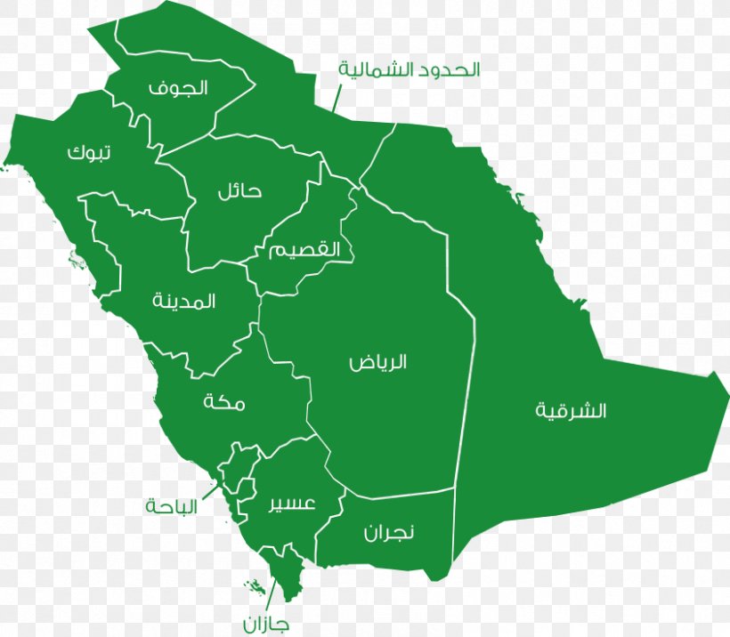Saudi Arabia PAIS Group, PNG, 844x737px, Saudi Arabia, Area, Ecoregion, Flag Of Saudi Arabia, Grass Download Free