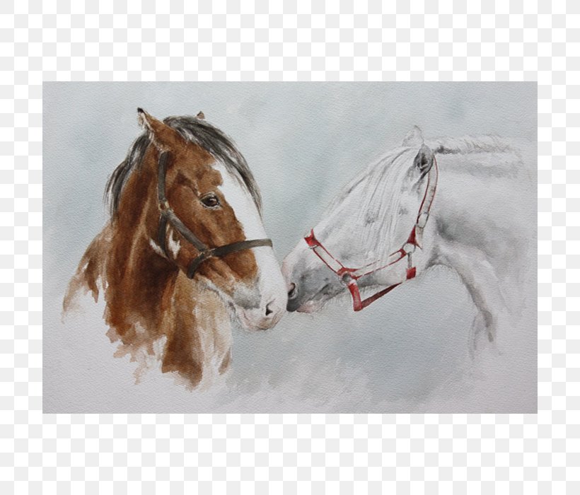 Bridle Stallion Shire Horse Painting Halter, PNG, 700x700px, Bridle, Commission, Drawing, Halter, Horse Download Free