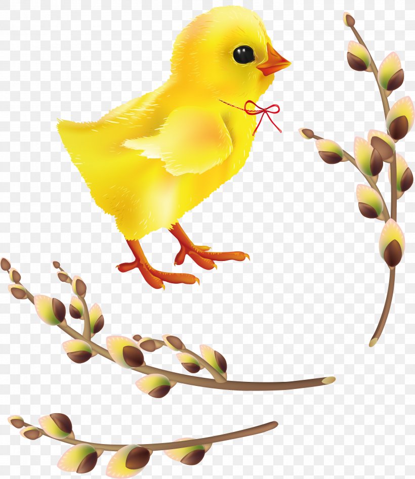 Easter Bunny Clip Art, PNG, 2981x3443px, Easter Bunny, Beak, Bird, Branch, Chickens As Pets Download Free