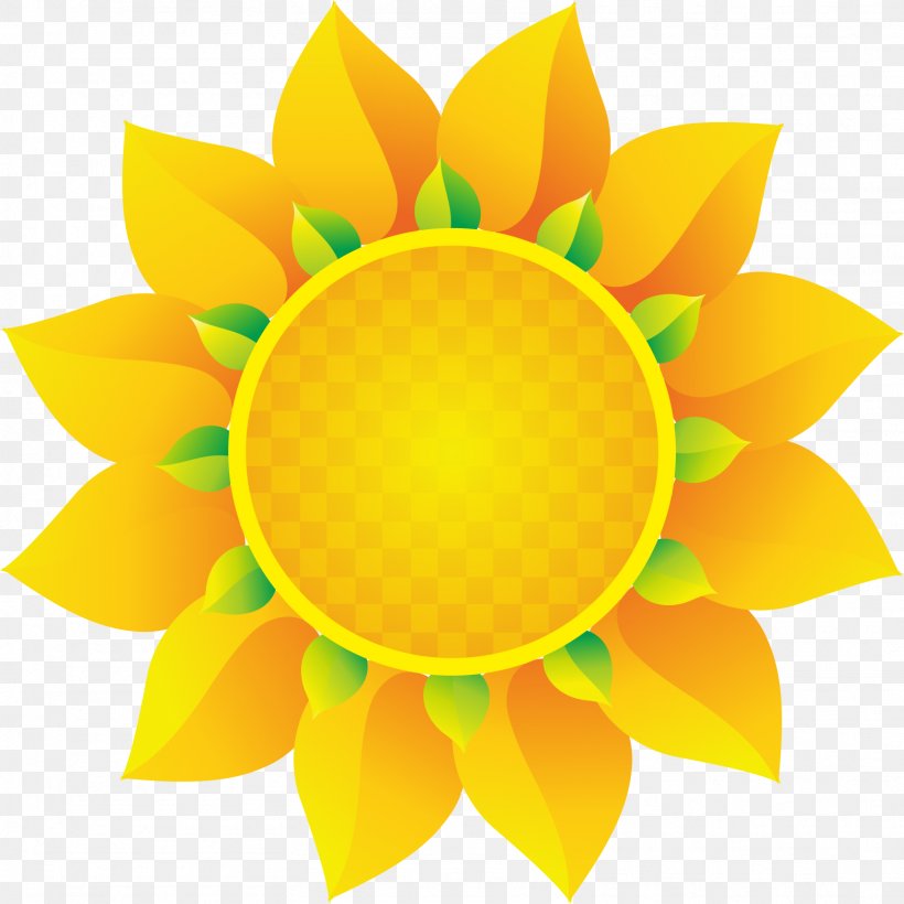 Euclidean Vector, PNG, 1561x1561px, Computer Graphics, Daisy Family, Flower, Flowering Plant, Petal Download Free