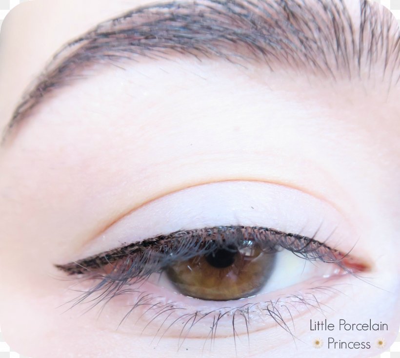 Eye Liner Eye Shadow Lip Liner Eyelash, PNG, 1600x1432px, Eye Liner, Artificial Hair Integrations, Close Up, Cosmetics, Eye Download Free