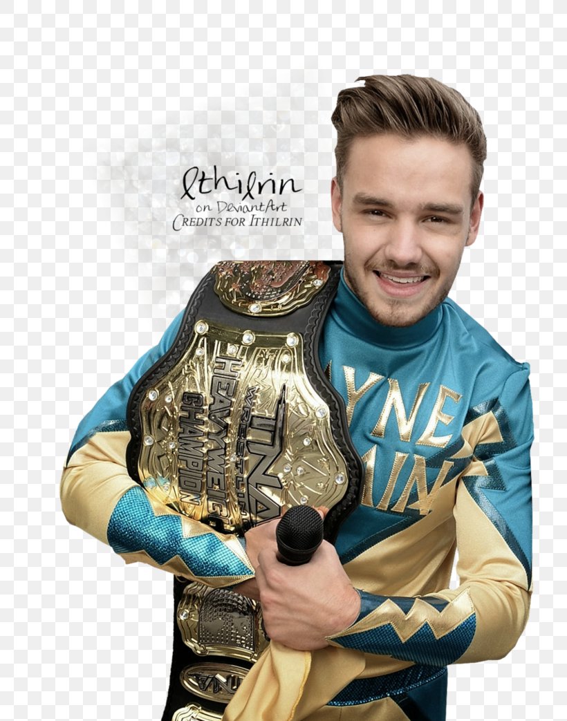 Liam Payne One Direction Professional Wrestler Professional Wrestling The Shield, PNG, 766x1043px, Watercolor, Cartoon, Flower, Frame, Heart Download Free