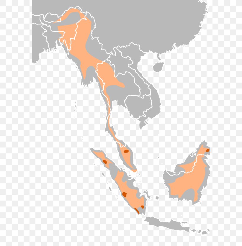 Burma Vietnam Salix Columbiana Philippines Organization, PNG, 604x834px, Burma, Area, Asia, Business, Ecoregion Download Free