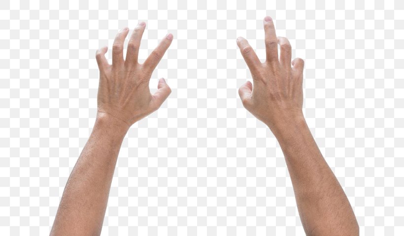 Finger Hand Digit Ratio Foot Male, PNG, 640x480px, Finger, Arm, Digit Ratio, Female, Foot Download Free