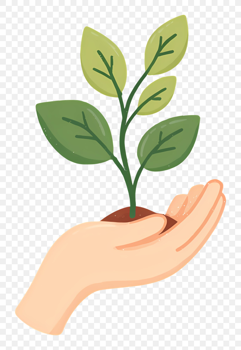 Hand Holding Seedling - Hand Holding Growing Plant PNG