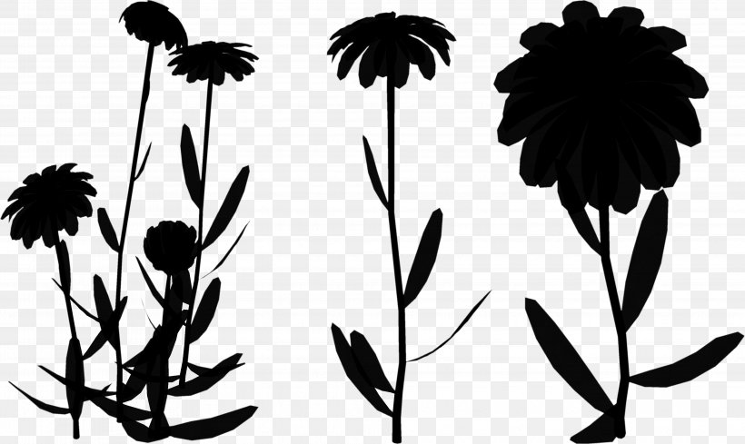 Leaf Plant Stem Silhouette Font Pattern, PNG, 3935x2349px, Leaf, Blackandwhite, Botany, Branching, Coneflower Download Free